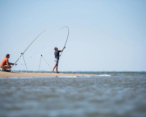 SEA FISHING AT THE BEGINNING OF THE SEASON