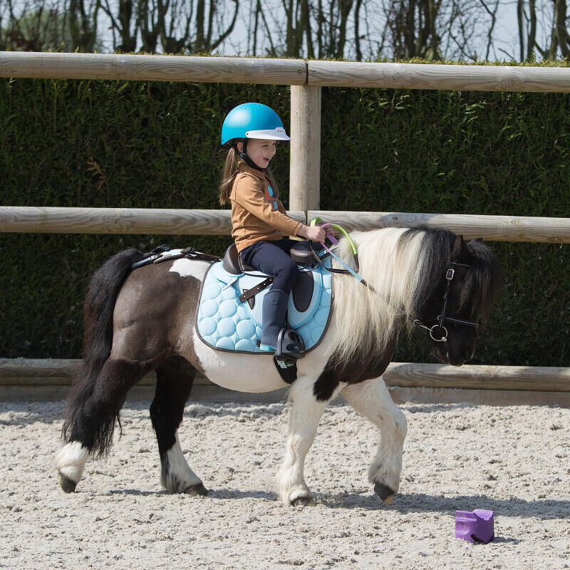 Baby Poney Benefices Equipements Nos Meilleurs Conseils