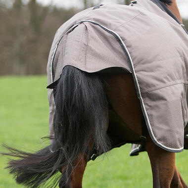 Specialiseren twist pijn doen Paardendekens: enkele handige weetjes