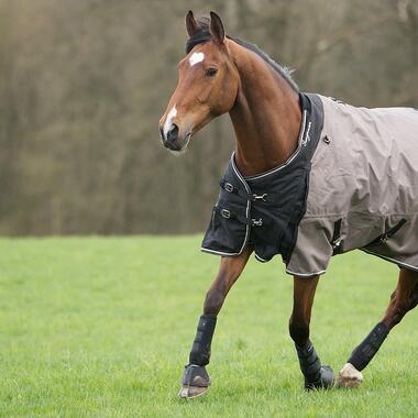 Alt/comment-choisir-couverture-cheval
