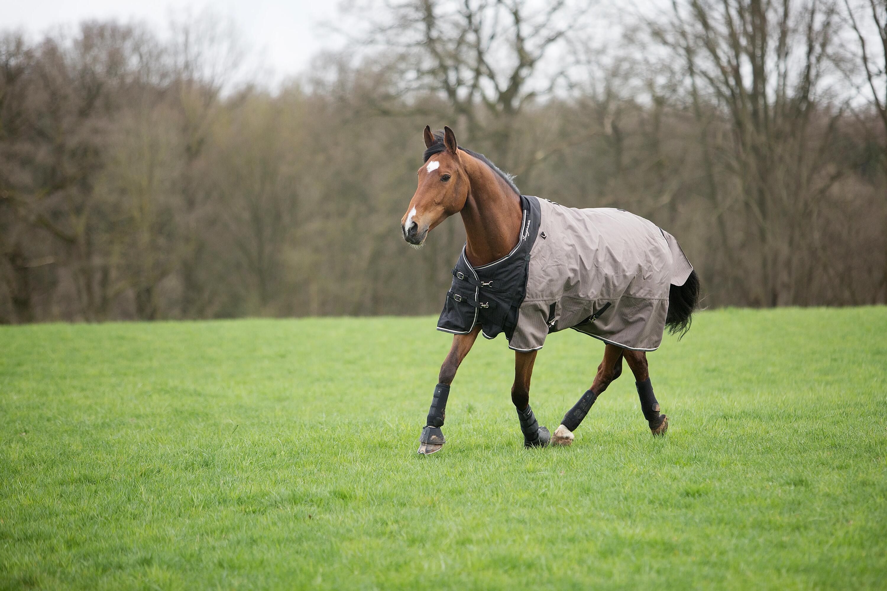 Allweather 300 1000D Horse and Pony Waterproof Rug - Brown 24/24