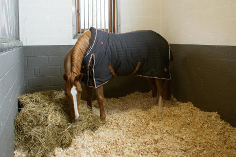 Alt/comment-choisir-sa-couverture-cheval-box Alt/comment-choisir-sa-couverture-cheval-box