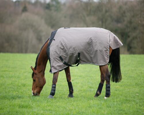 paard in de weide met een deken