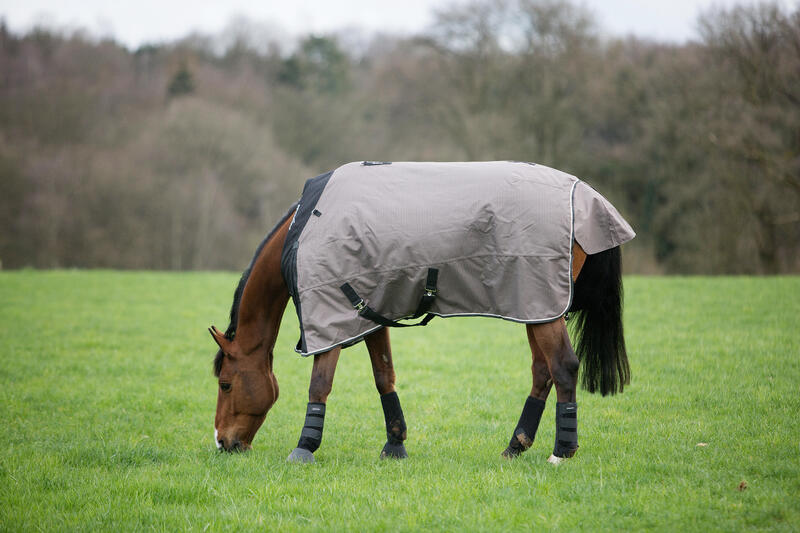 Hoe verzorg je je paard in de weide?