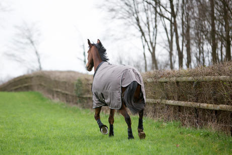 Alt/comment-choisir-couverture-cheval-extérieur-1 Alt/comment-choisir-couverture-cheval-extérieur-1