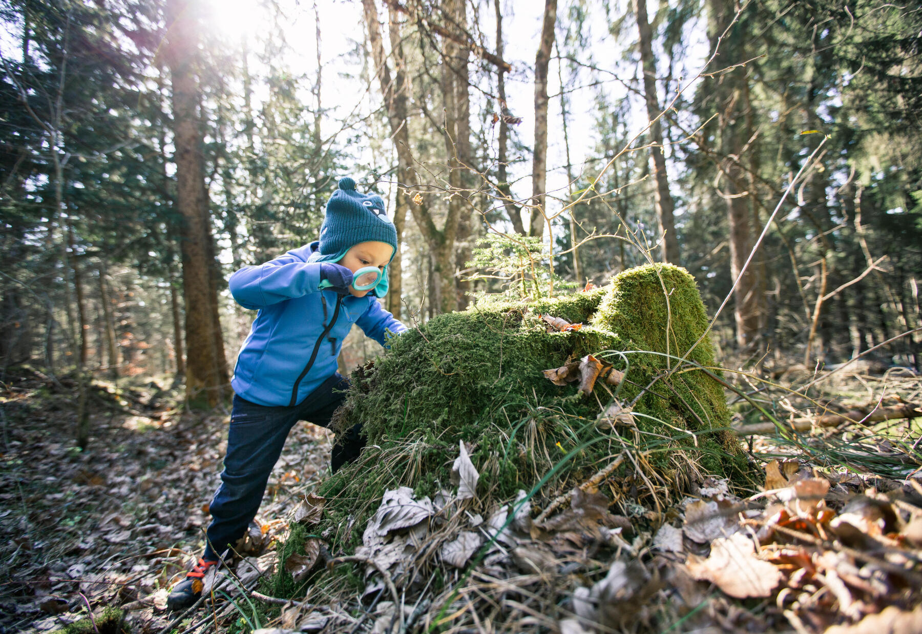 child exploring the ground on a hike