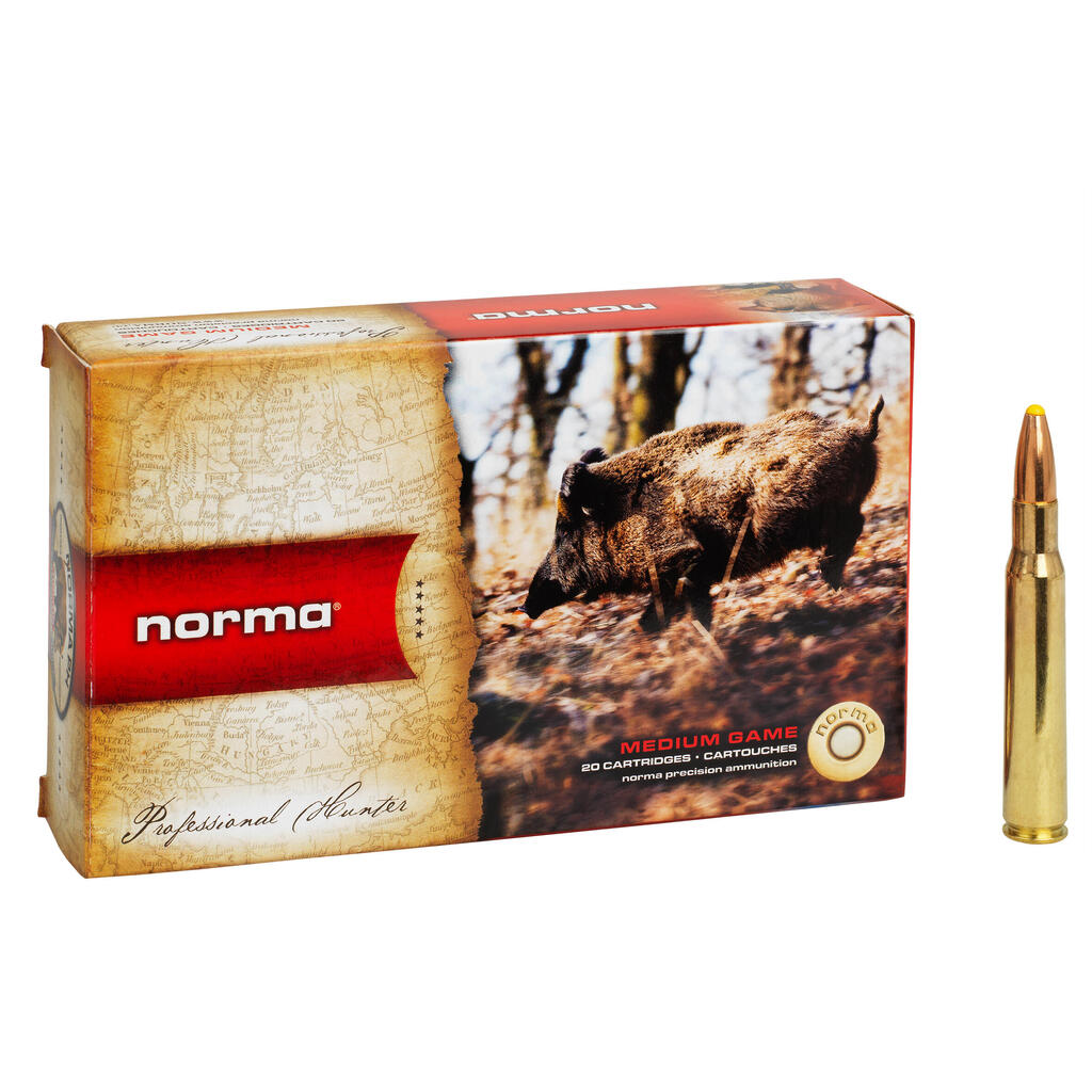 BULLET NORMA PLASTIC POINT  30-06 SPRG 180 GRAINS / 11.7 GRAMS