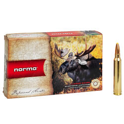 BALLE NORMA 300 WM Dual Core 180 grains