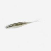Artificiale morbido pesca artificiali SUPERFLUKE JUNIOR SMOKING SHAD