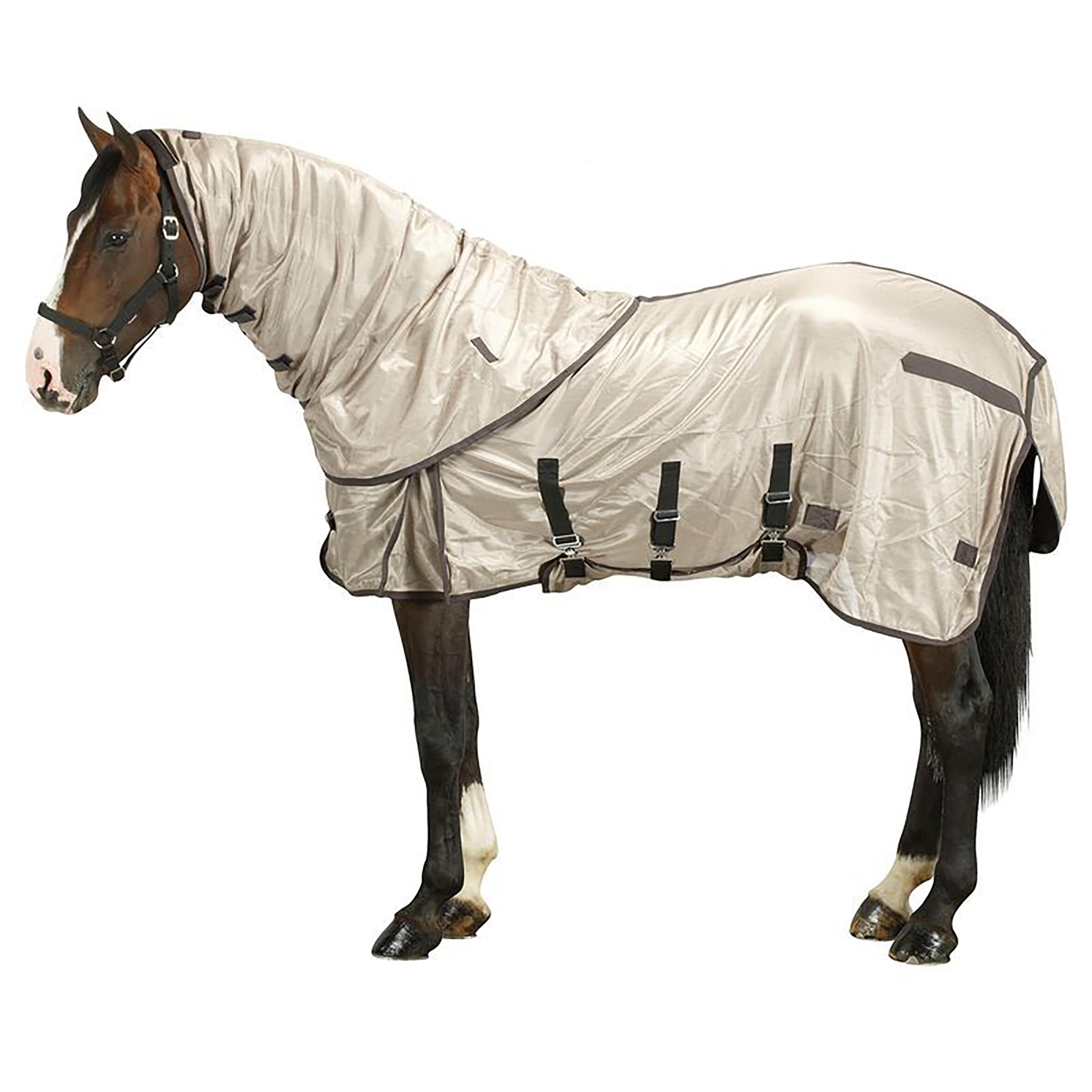 Pătură Protecţie Insecte echitație cai/ponei Bej
