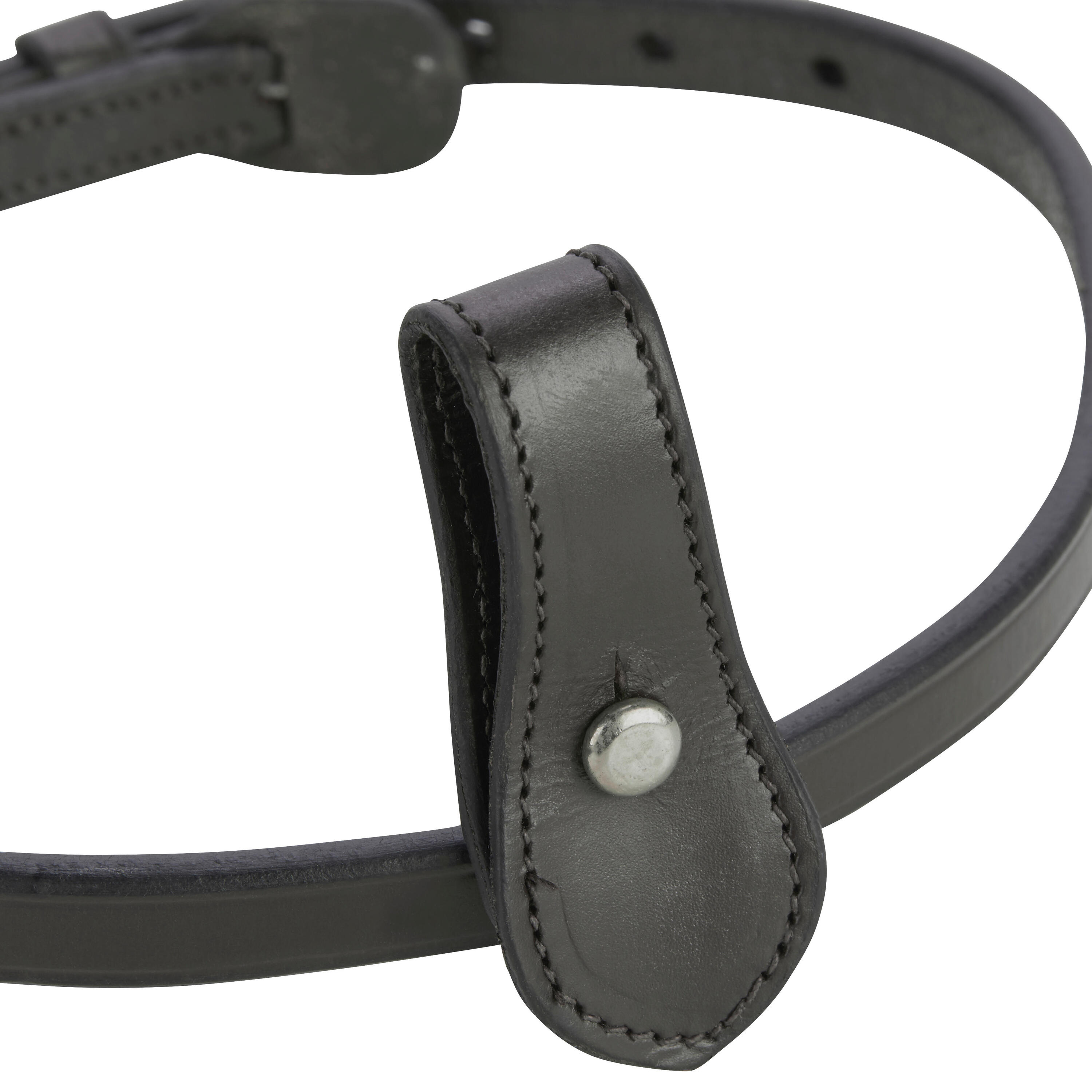 Horse Riding Noseband for Horses 580 - Black 2/4