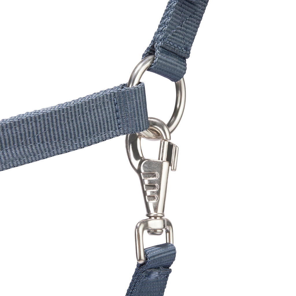 Horse Riding Halter + Leadrope Set - Nubuck/Blue-Grey