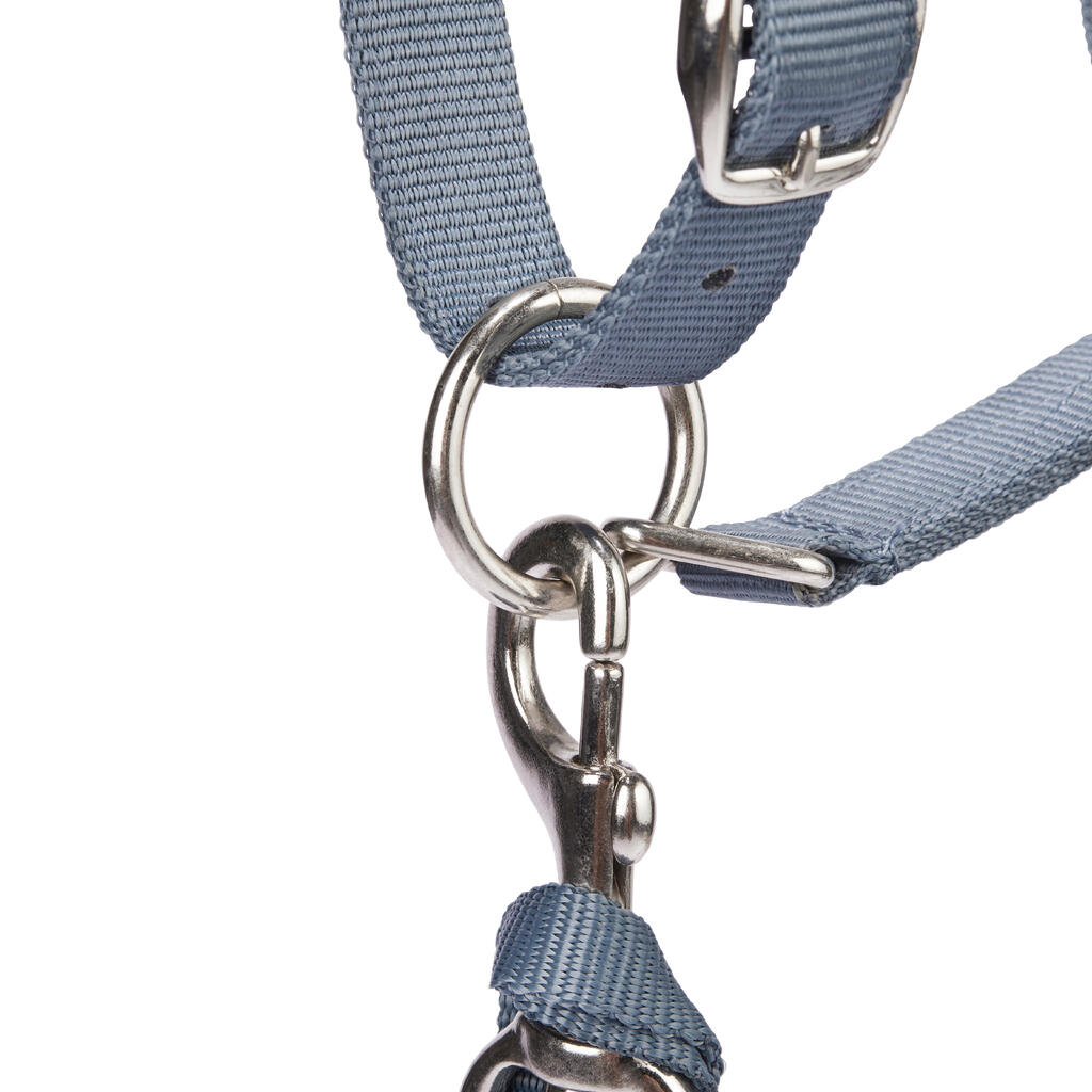 Horse Riding Halter + Leadrope Set - Nubuck/Blue-Grey