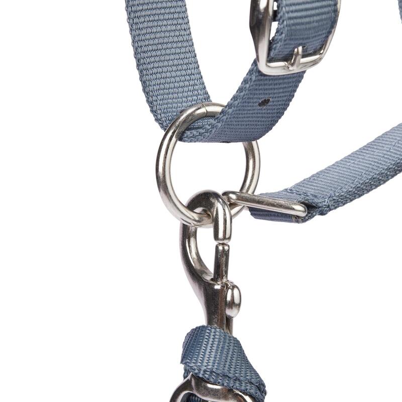 Capezza e longhina equitazione cavallo nubuck blu-grigio