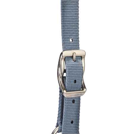 Horse Riding Halter + Leadrope Set - Nubuck/Blue-Grey