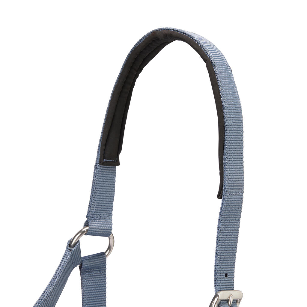 Horse Riding Halter + Leadrope Set - Nubuck/Blue-Grey