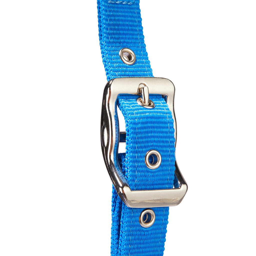 Winner Horse Riding Halter + Leadrope Set for Horse and Pony - Royal Blue
