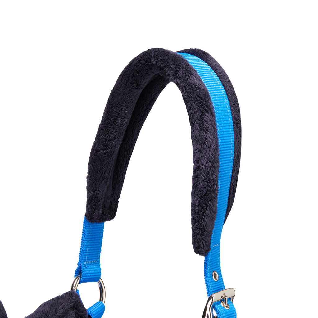 Winner Horse Riding Halter + Leadrope Set for Horse and Pony - Royal Blue