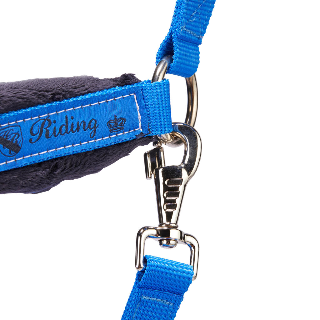 Winner Horse Riding Halter + Leadrope Set for Horse and Pony - Royal Blue