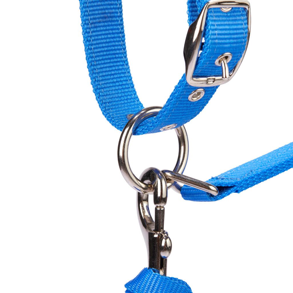 Winner Horse Riding Halter + Leadrope Set for Horse and Pony - Royal Blue