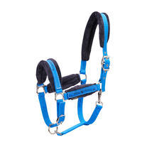 Winner Horse Riding Halter + Leadrope Set for Horse and Pony - Royal Blue
