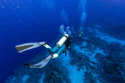 Scuba Diving Fins SCD 500 black/blue