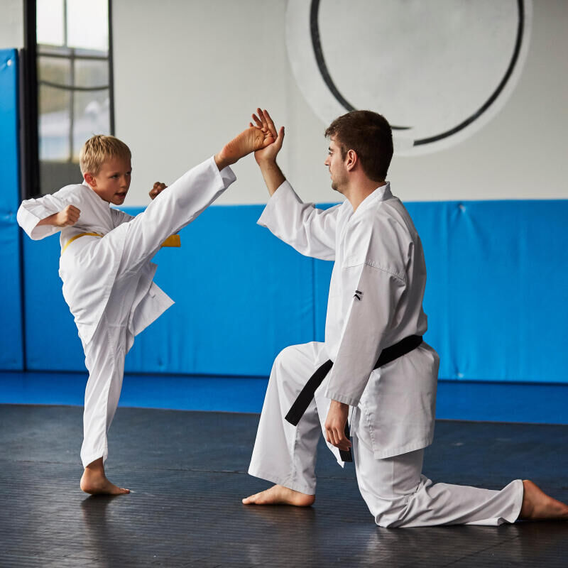 Child and adult doing karate