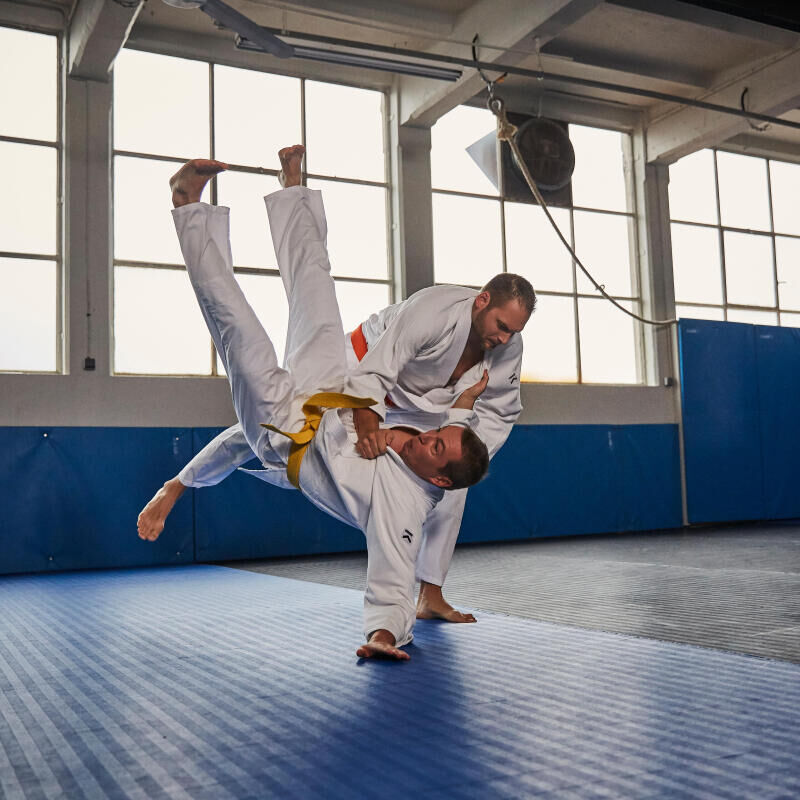 judo