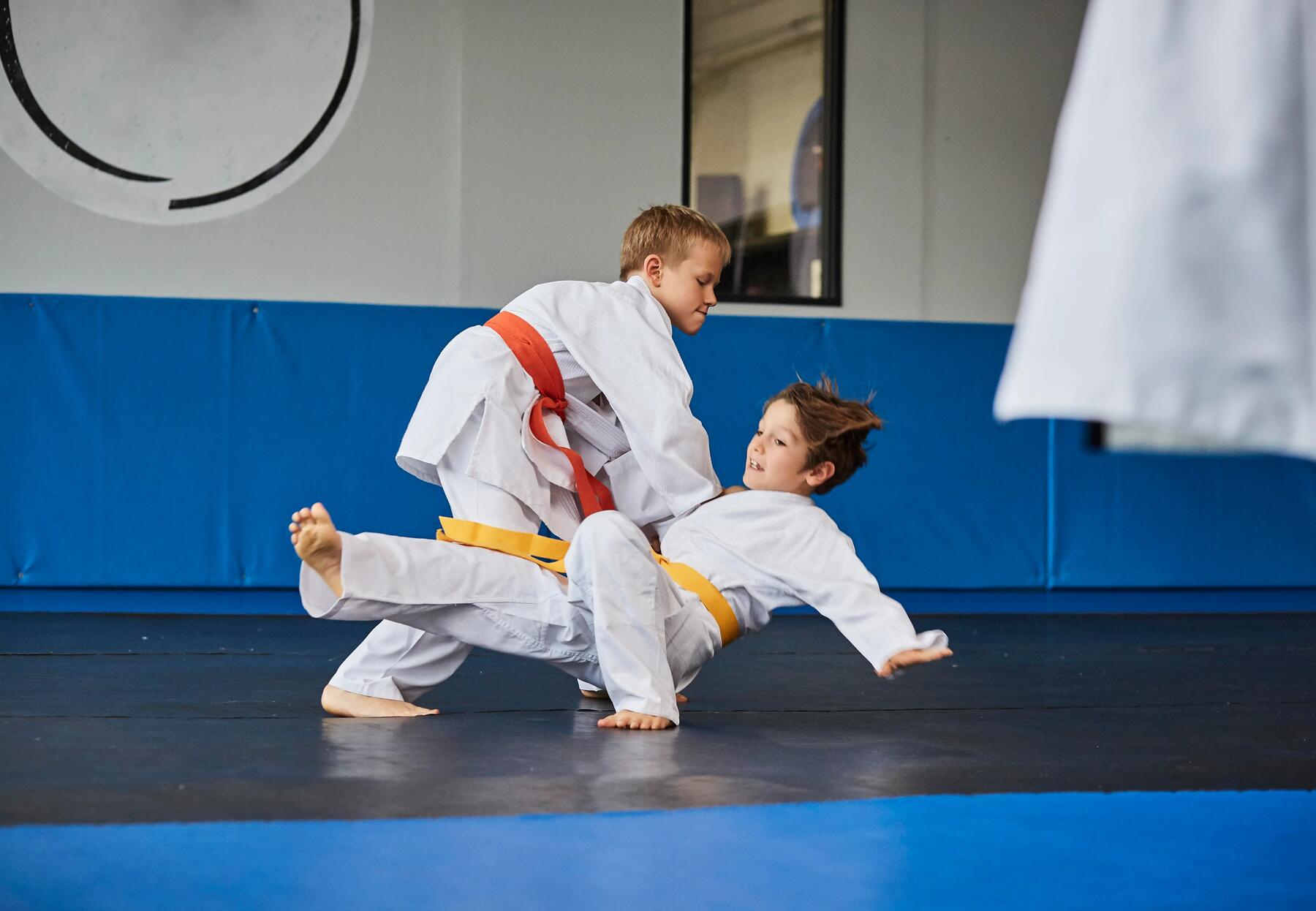 Gradensysteem judo