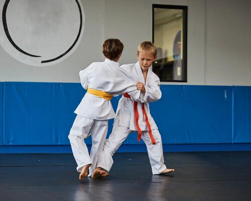 photo_judo_enfant_conseil_teasing