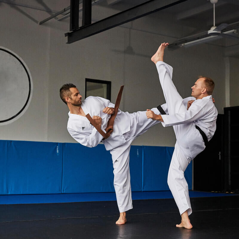 Taekwondo