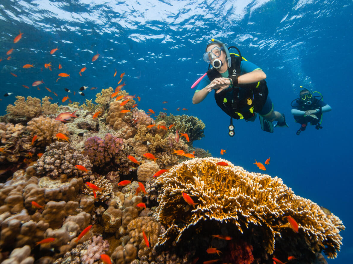 Our final tips on preparing for your diving holiday 