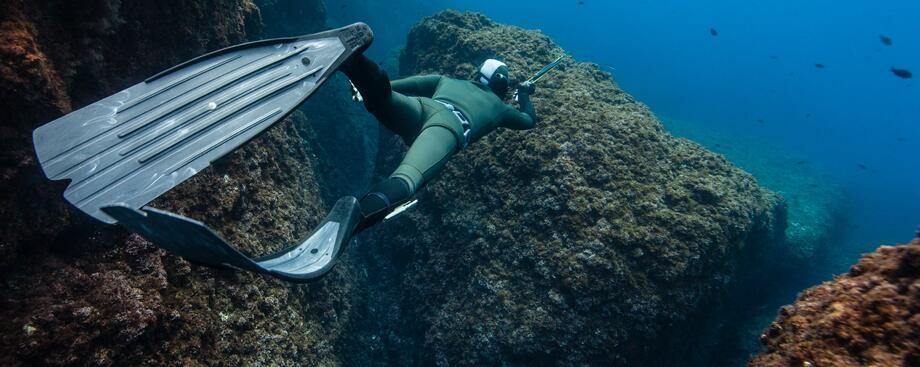 conseil lexique chasse sous-marine subea conseil lexique chasse sous-marine subea