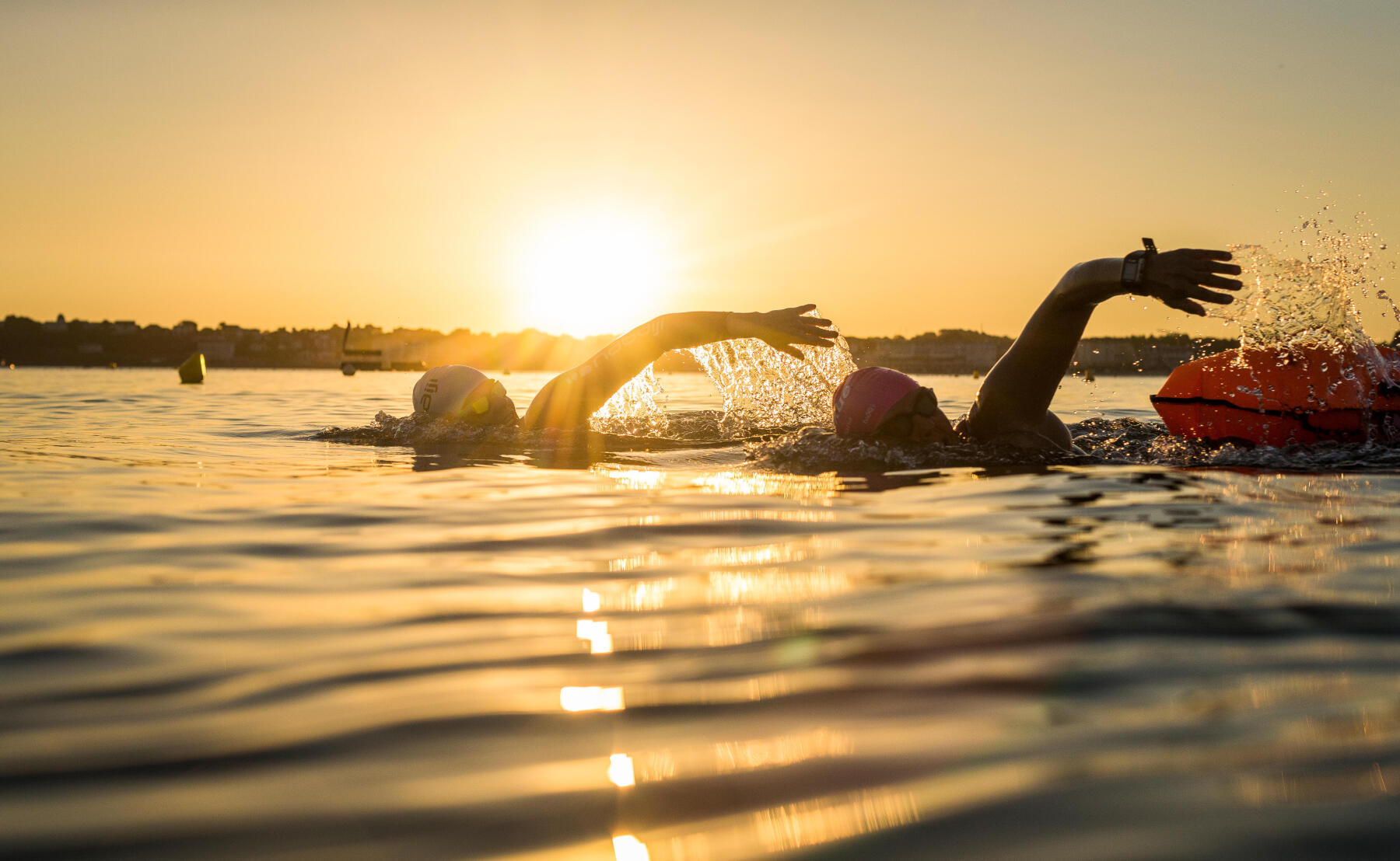 Triathlètes en train de nager pendant un triathlon au lever du soleil