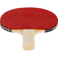 Table Tennis Bat PPR 100