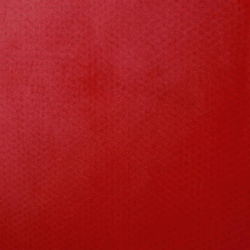 Table Tennis Bat PPR 100