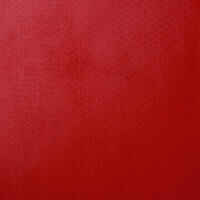 Raqueta  DE PING-PONG FREE PPR 100 