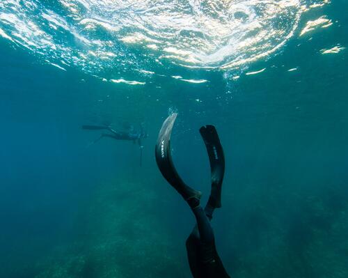 palmes d'apnée chasse sous-marine subea test plongeurs international