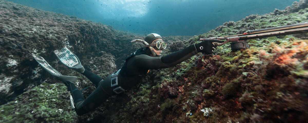 Technique chasse sous marine : l'agachon - Chasse Sous-Marine Apnée