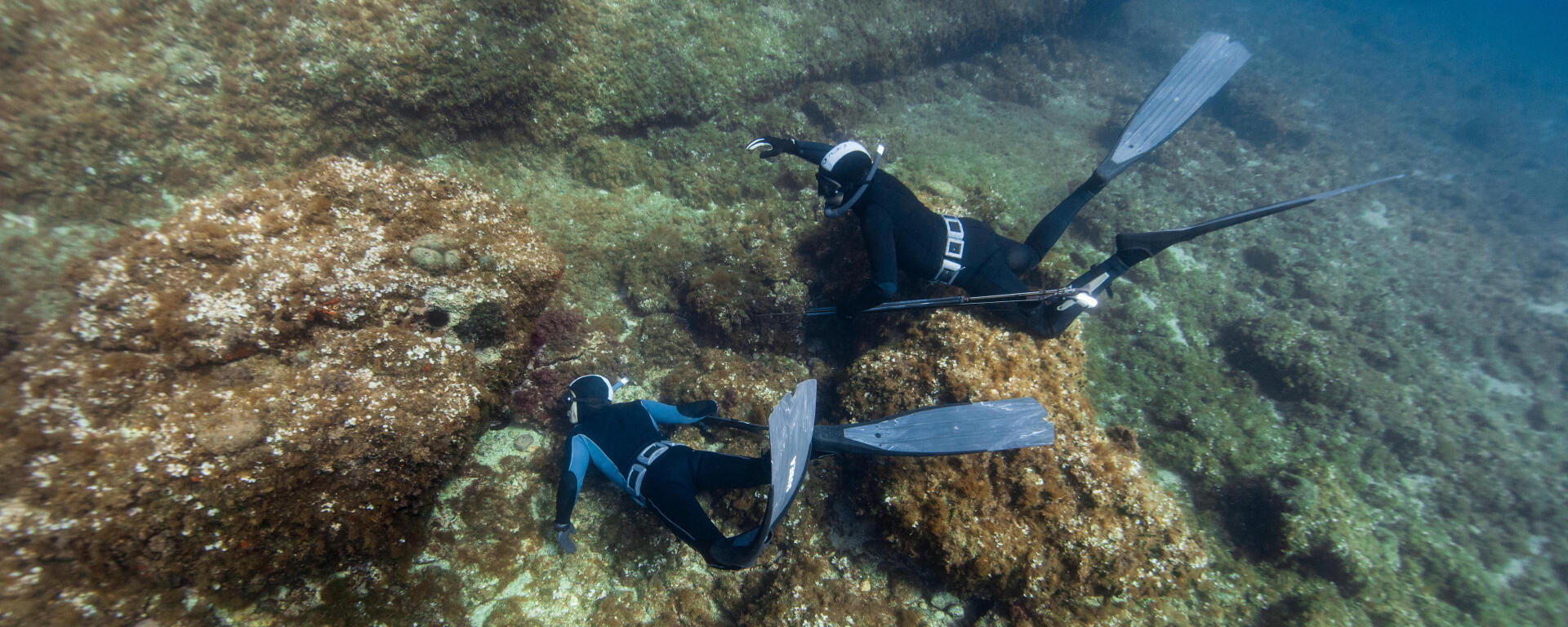 Chasse à trou, Technique de chasse sous-marine