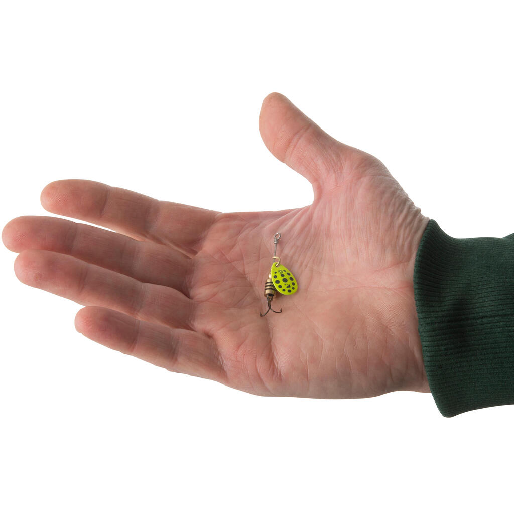 Crna leptir varalica sa žutim tačkicama WETA + vel. 0