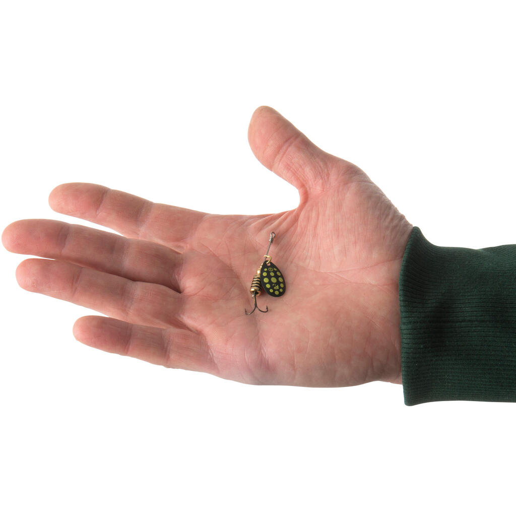 Crna leptir varalica sa žutim tačkicama WETA + vel. 1