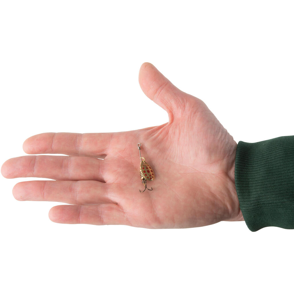 Crna leptir varalica sa žutim tačkicama WETA + vel. 1