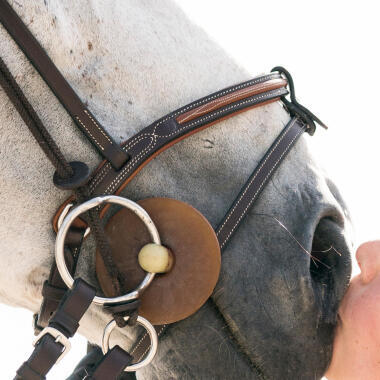 paard en amazone tijdens een wedstrijd