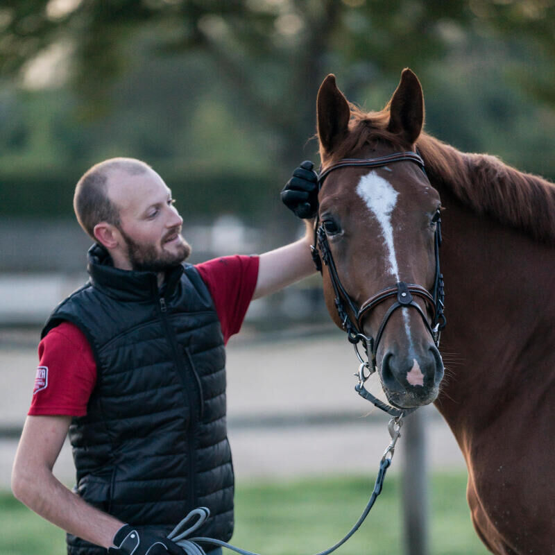 pourquoi_travailler_son_cheval_a_la_longue