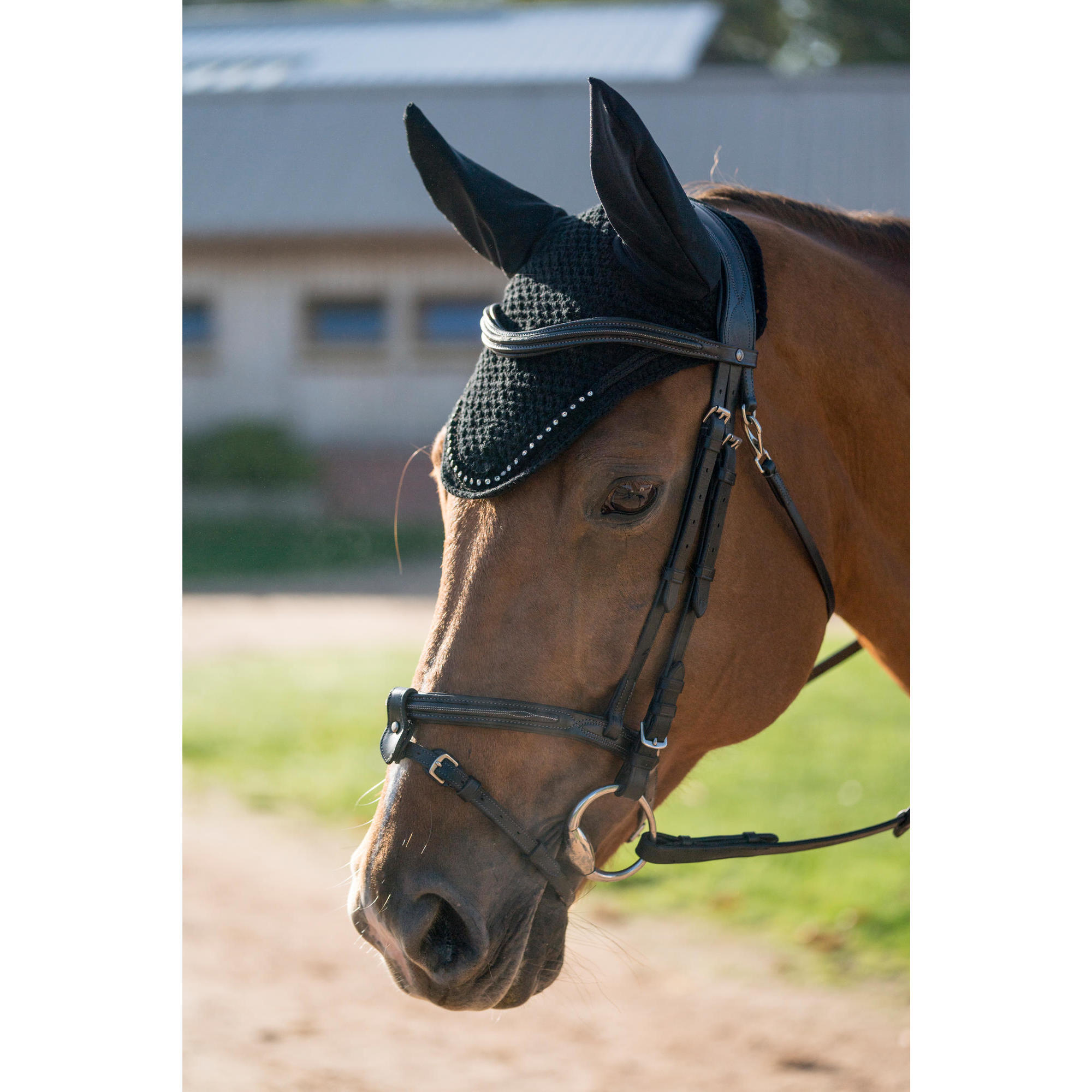 Cappello da equitazione RIDING STRASS nero