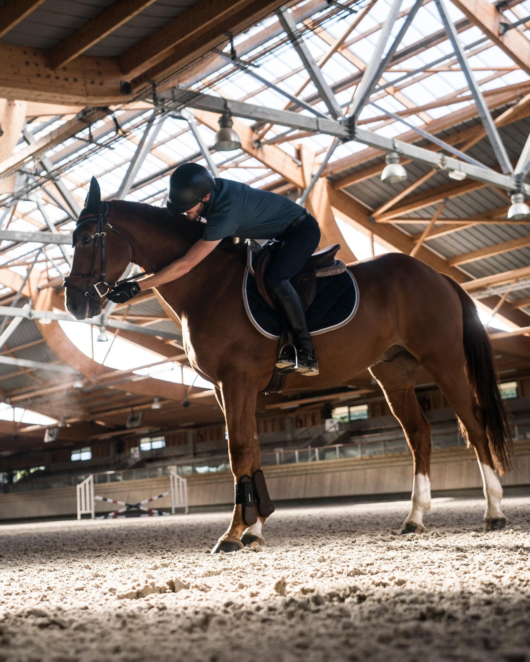 Paard en ruiter