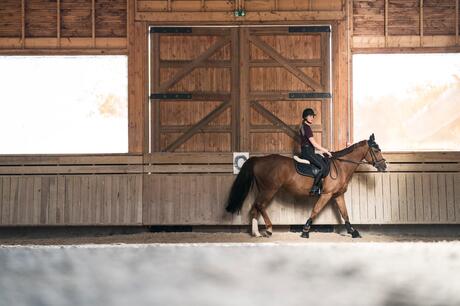 het-belang-van-trainen-in-stap-para1 het-belang-van-trainen-in-stap-para1