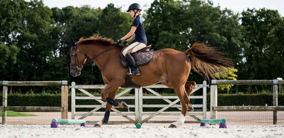GANTS confirmé ÉQUITATION GANTS confirmé ÉQUITATION