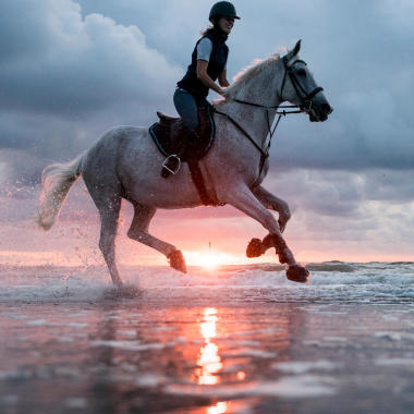Reiten am Strand kann so schön sein.